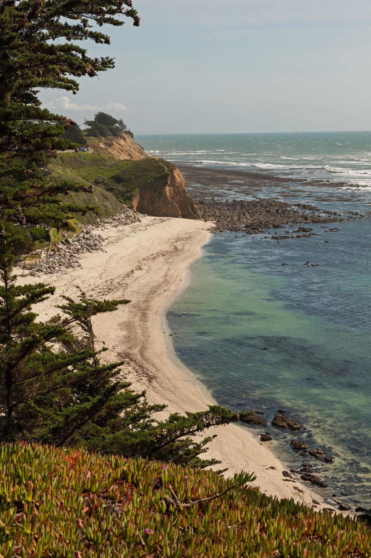 Seal Cove Inn Moss Beach Zewnętrze zdjęcie