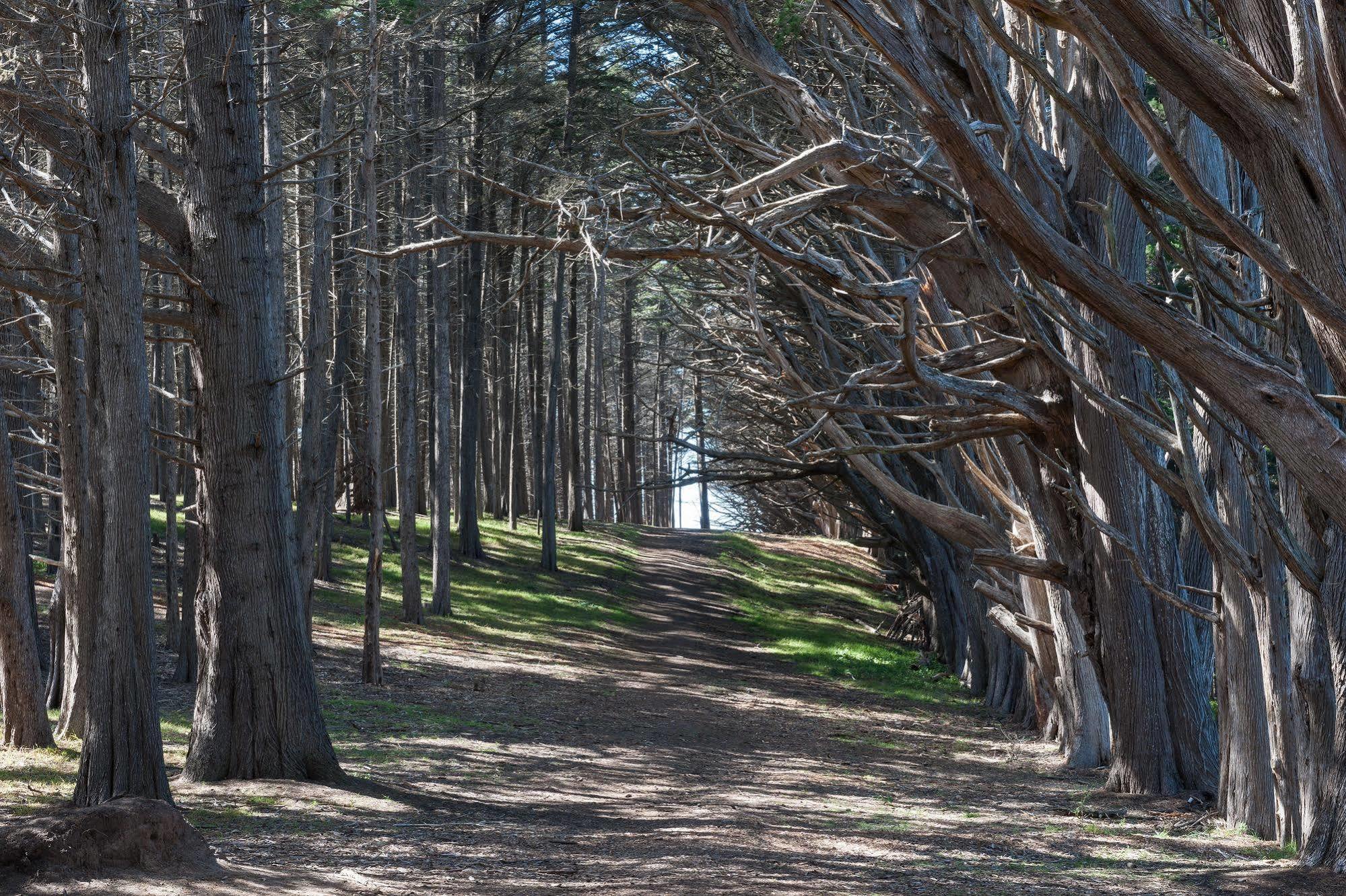 Seal Cove Inn Moss Beach Zewnętrze zdjęcie