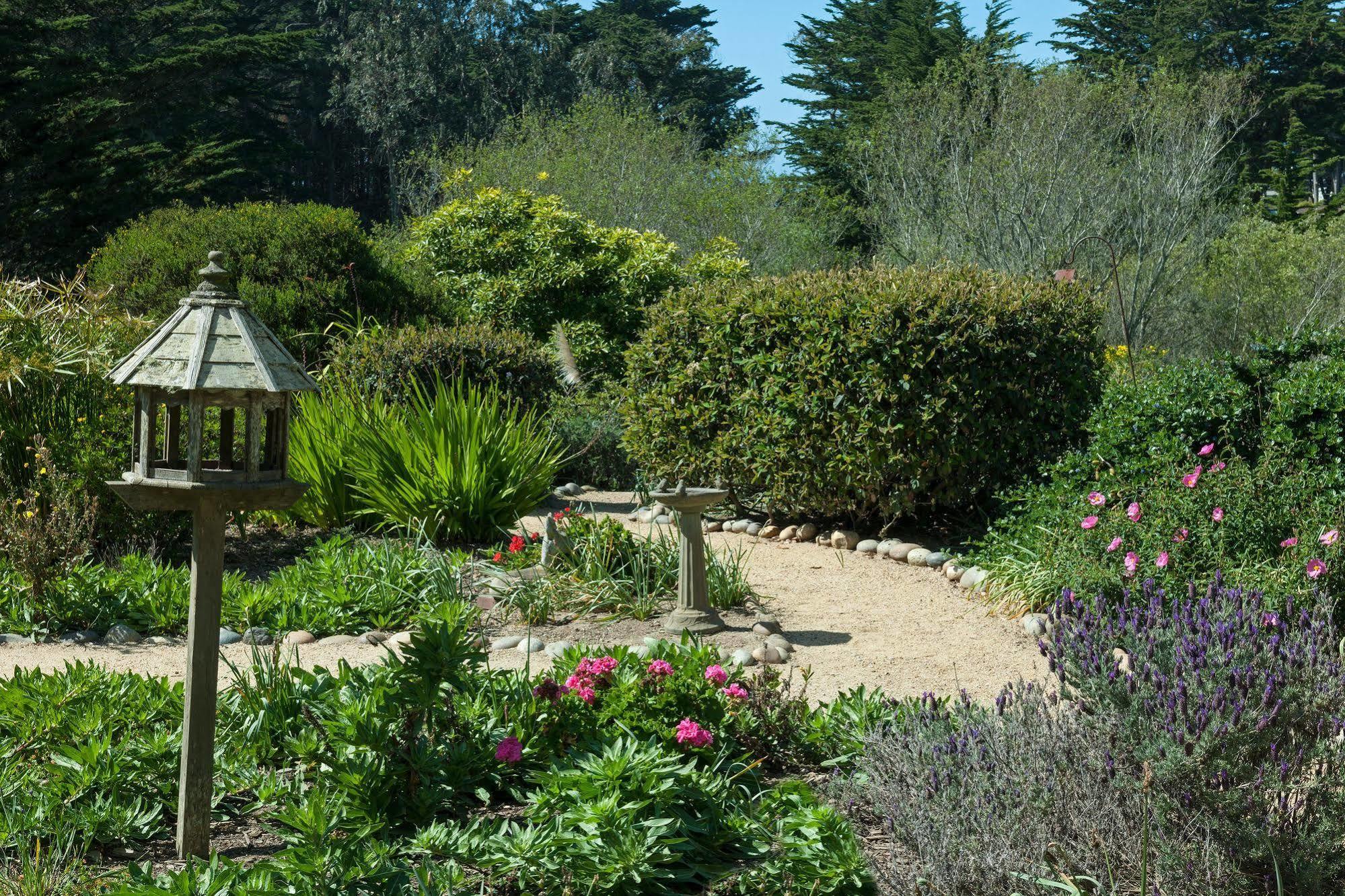 Seal Cove Inn Moss Beach Zewnętrze zdjęcie